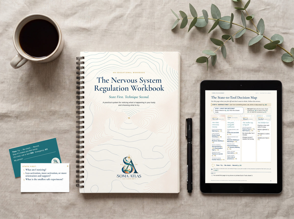 The Nervous System Atlas